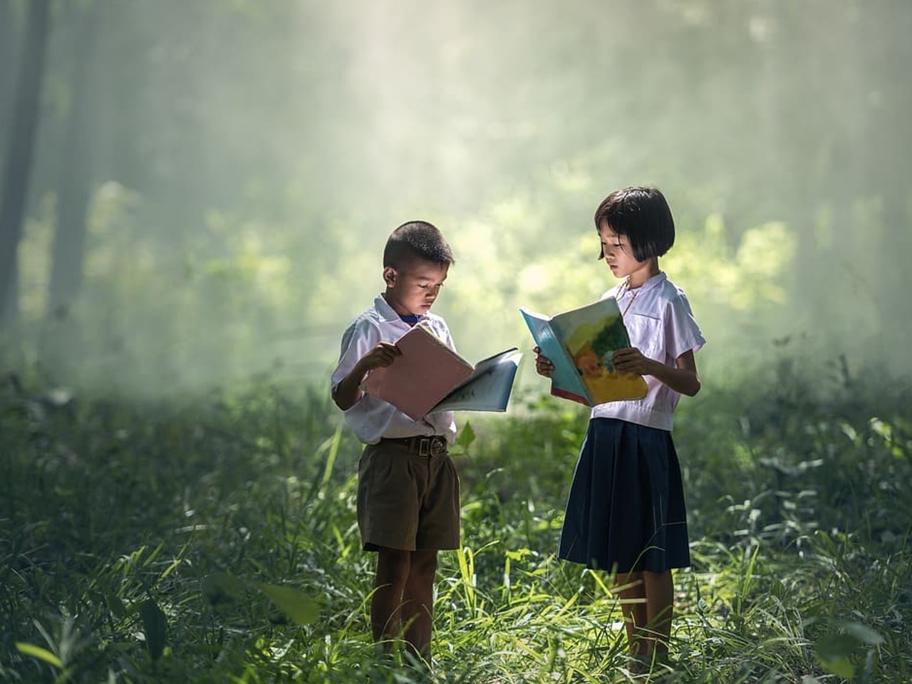 Enfants lisant dans la lumière d'une clairière