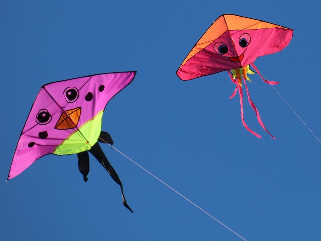 2 cerfs volants multicolores flottant dans un ciel bleu