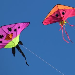 2 cerfs volants multicolores flottant dans un ciel bleu