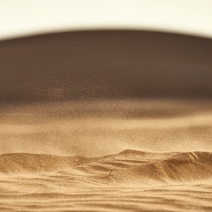Photo d'une étendue de sable