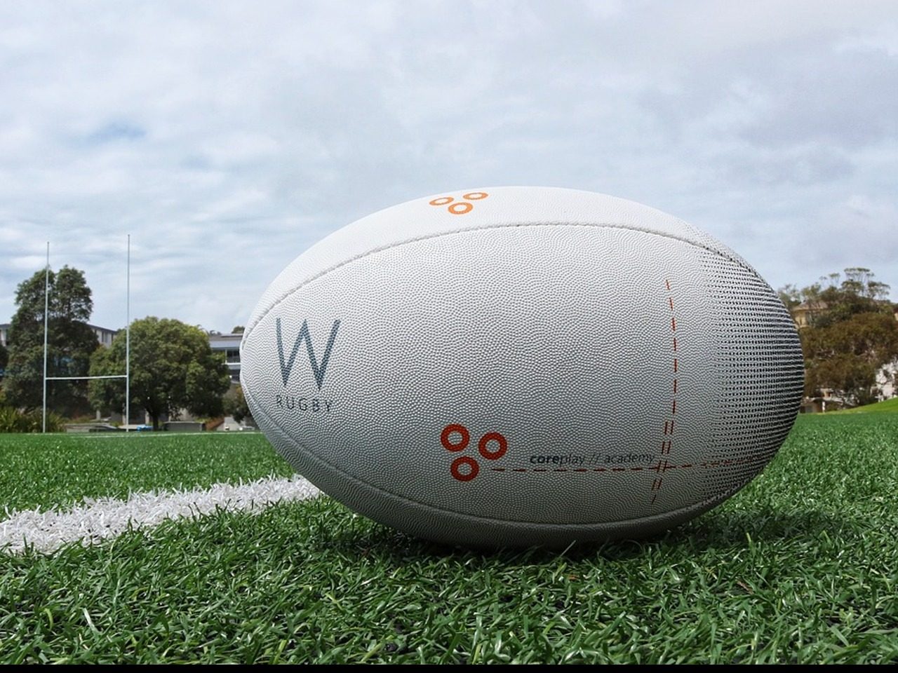 Ballon de rugby posé sur la pelouse