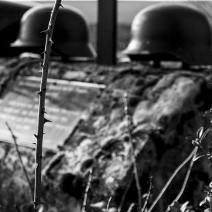 Image en noir et blanc de la guerre par Thomas Rüdesheim de Pixabay