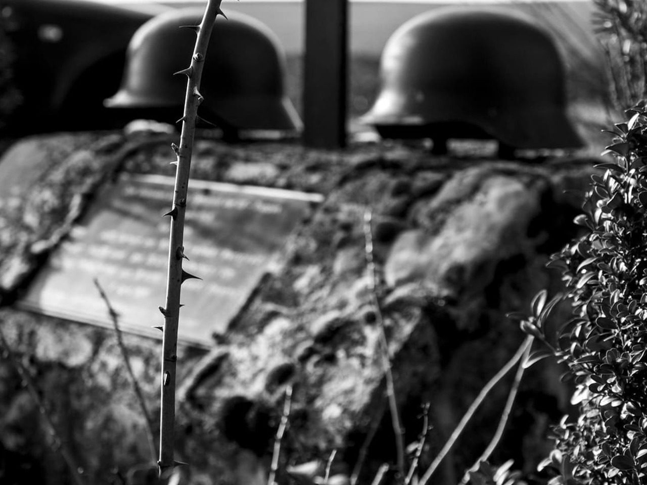 Image en noir et blanc de la guerre par Thomas Rüdesheim de Pixabay