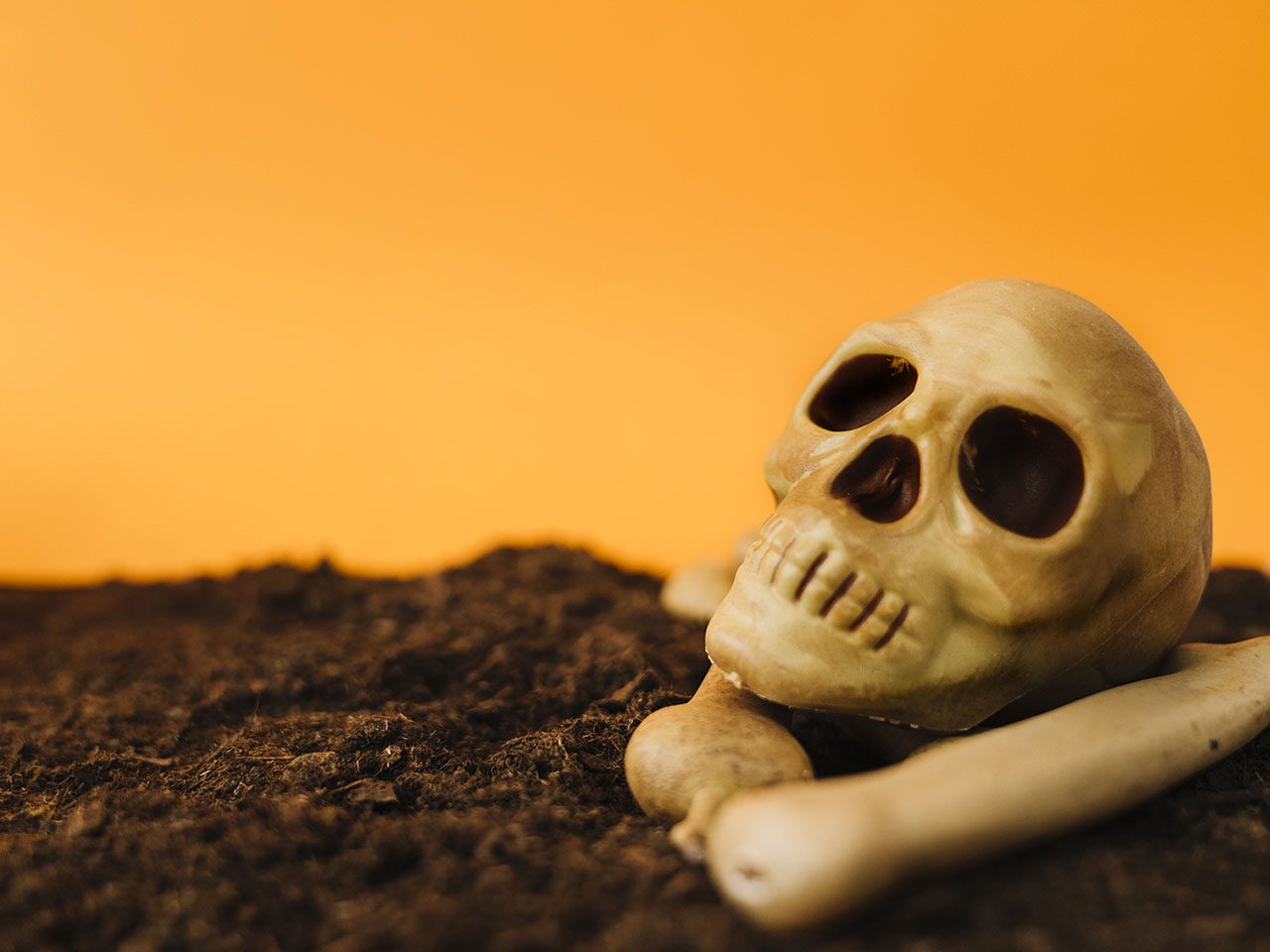 Tête de mort et os posés sur la terre avec un fond jaune