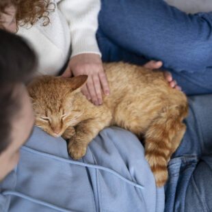 2 personnes sur canapé en tran de caliner un chat endormi