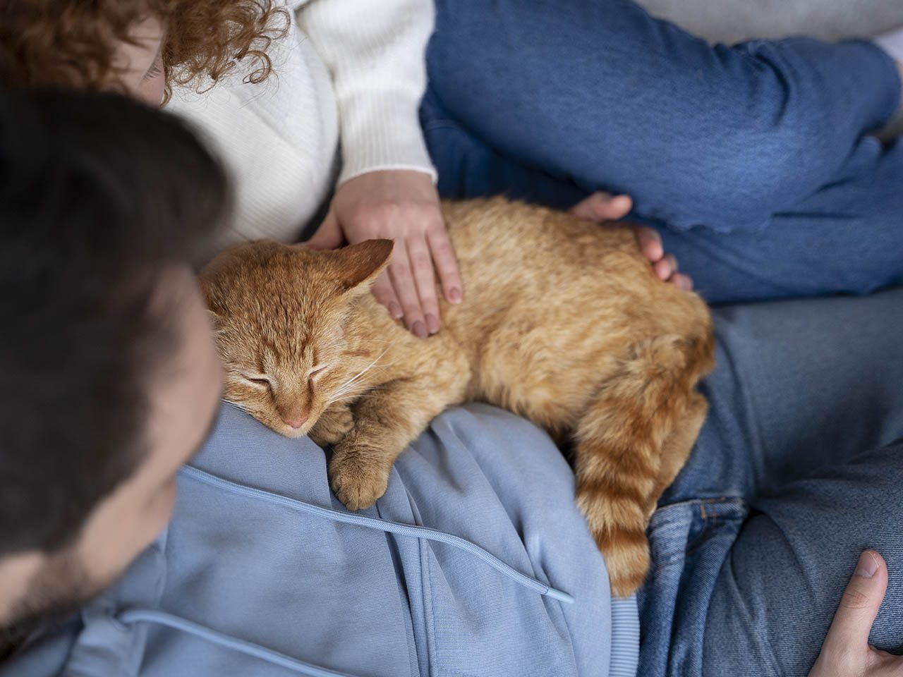 2 personnes sur canapé en tran de caliner un chat endormi