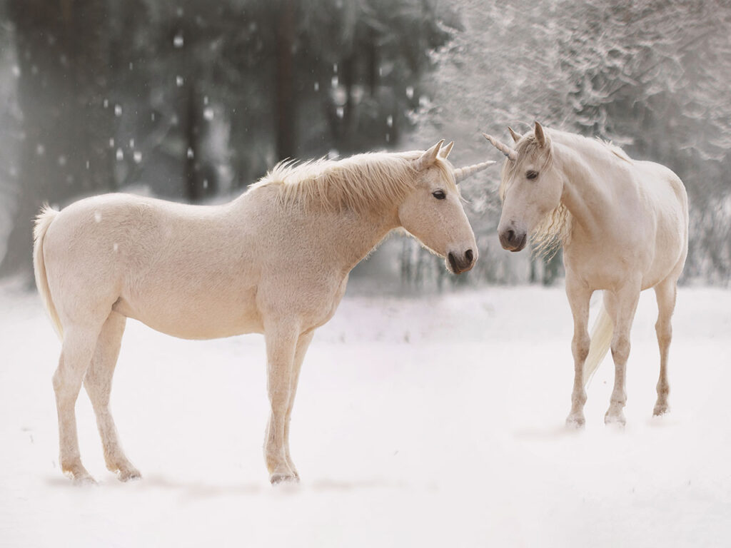 Deux licornes dans la neige