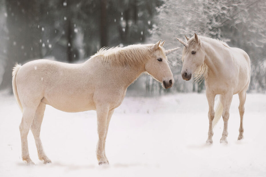 Deux licornes dans la neige