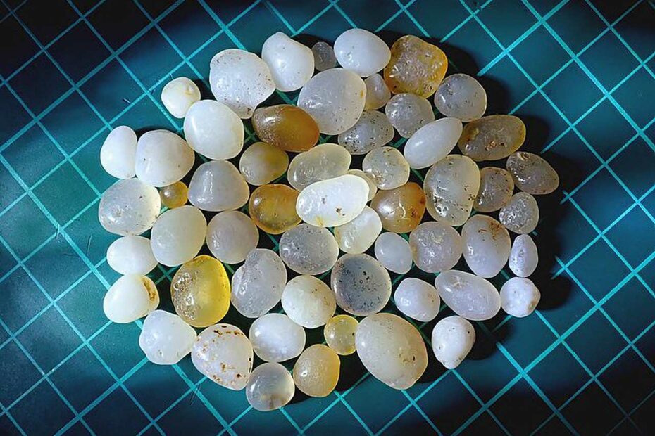 Sarira de Aomori, Japon. Petites pierres blanches et dorées sur fond bleu.