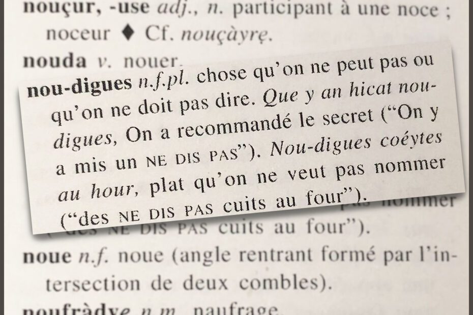 Gros plan sur la définition de nou-digues dans le dictionnaire