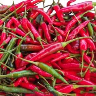 Tas de piments rouges et verts